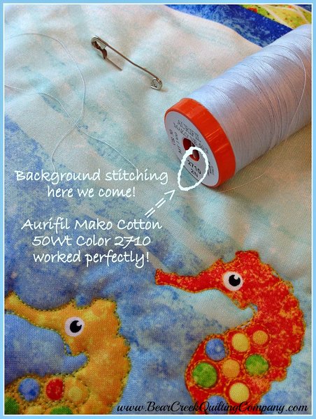 Free Motion Quilting Fun Tutorial Free Motion Quilting Fun Tutorial