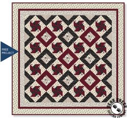Sylvie Spins Out Free Quilt Pattern by Windham Fabrics