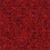 In The Beginning Fabrics Prism II Brocade Crimson