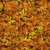 QT Fabrics Mystic Owls Packed Leaves Orange