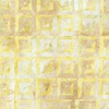 Northcott Banyan Batiks Quilt Inspired Backgrounds Square in a Square Peach