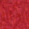 In The Beginning Fabrics Prism II Screen Red