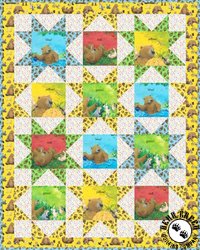 Adventures of Bear and Friends - Bear Sees Colors Free Quilt Pattern